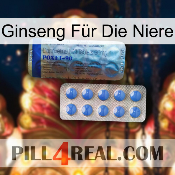 Ginseng Für Die Niere 40